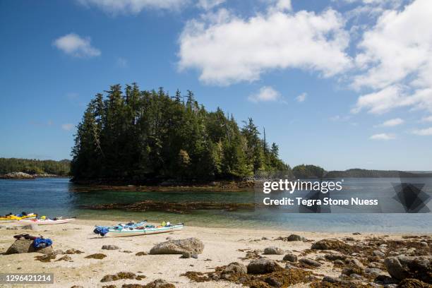 kayaks on a beach in the great bear rain-forest - great bear rainforest stock pictures, royalty-free photos & images