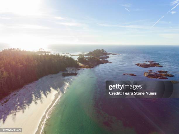 drone shot the great bear rain-forest - great bear rainforest stock pictures, royalty-free photos & images