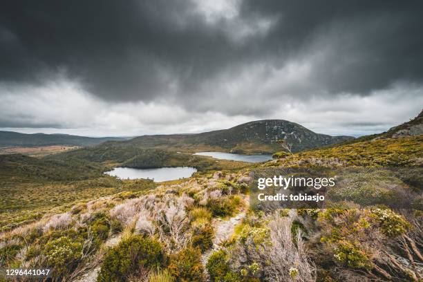 vista aérea en cradle mountain, tasmania, australia - tasmania fotografías e imágenes de stock