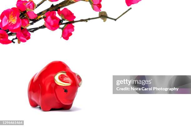 chinese new year of the ox 2021 - fiore di pesco foto e immagini stock