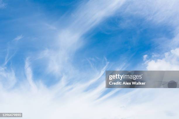 wispy clouds against blue sky - cirrus stockfoto's en -beelden