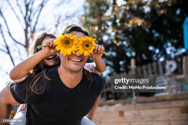 young girl holding sunflowers over fathers eyes - piggyback stock pictures, royalty-free photos & images