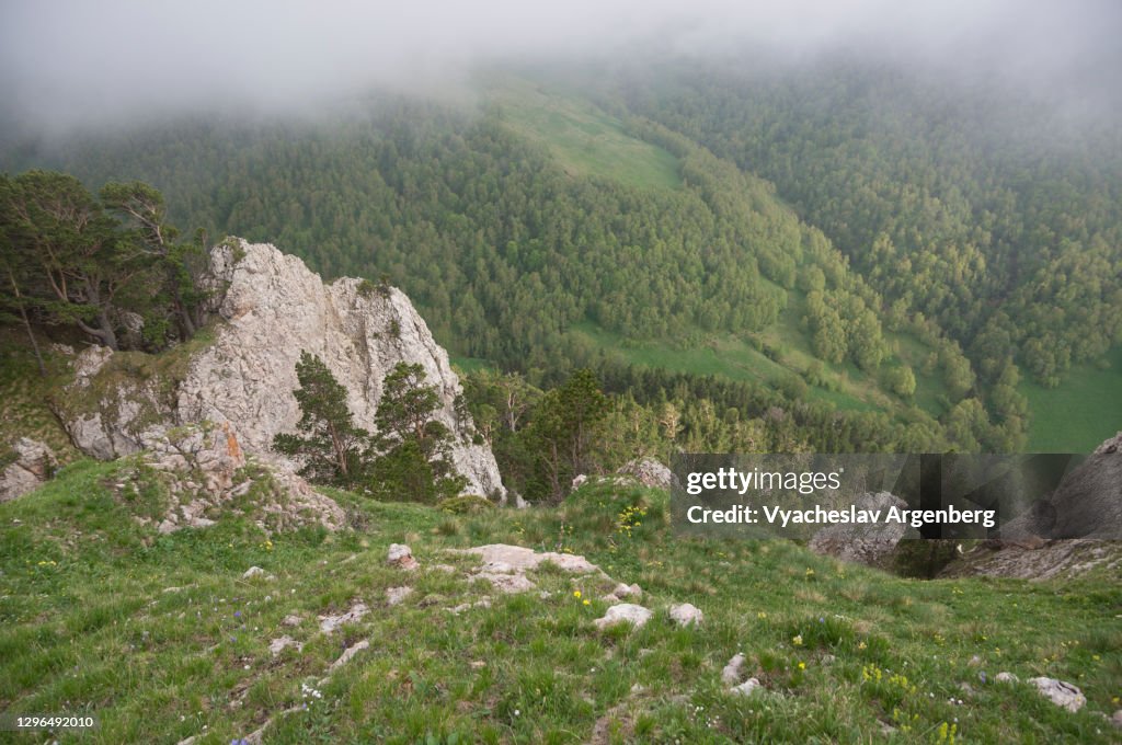 View of Shisha Valley from above, Caucasus Biosphere Reserve