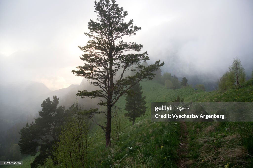 Sunset in Shisha Valley with clouds and fog, Caucasus Biosphere Reserve