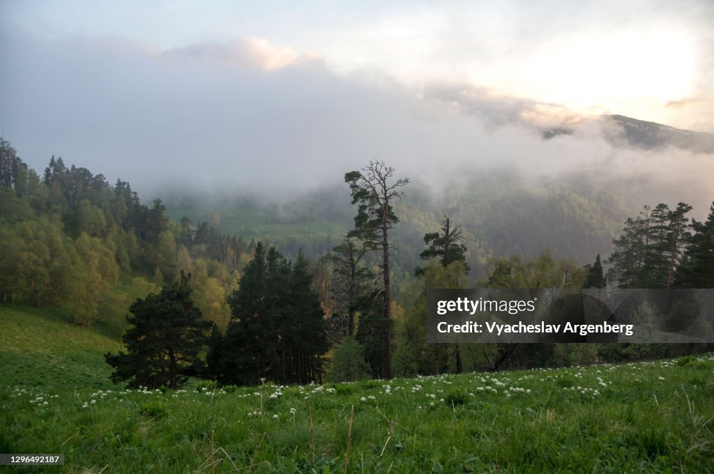 Sunset in Shisha Valley with clouds and fog, Endemic flora of Caucasus Biosphere Reserve