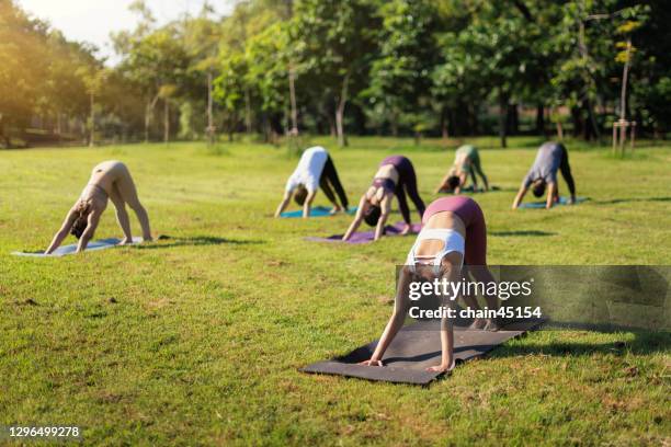 social distancing yoga class group in the open air. instructor leads yoga in the park. people exercise outdoor after stay safe at home due to covid-19 for relaxation with mask and social distancing. - open workouts stock-fotos und bilder