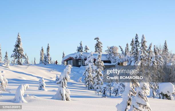 mountain cabin in january, synnfjell - oppland county norway - cabin norway stock pictures, royalty-free photos & images