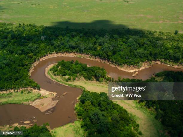 Mara River, Masai Mara National Reserve, Kenya..