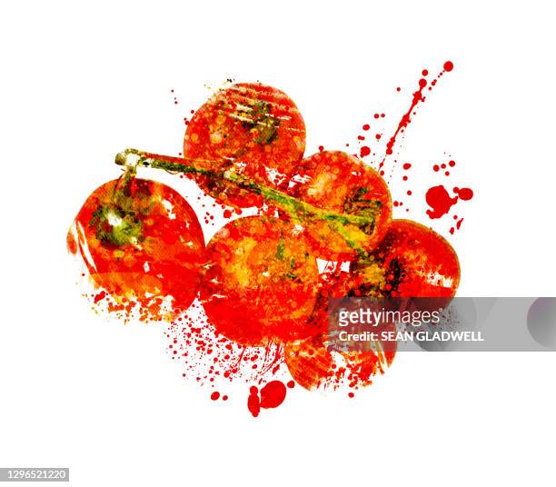 vine tomatoes illustration - tomato stock illustrations stockfoto's en -beelden