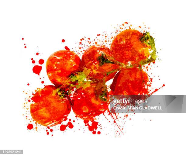 tomatoes on vine illustration - raw acrylic stock pictures, royalty-free photos & images