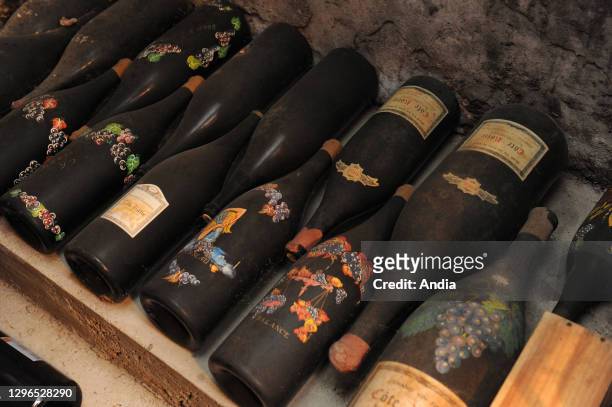 Ampuis : cellar of the wine estate Domaine Jasmin. Bottles of Cote-Rotie wine.