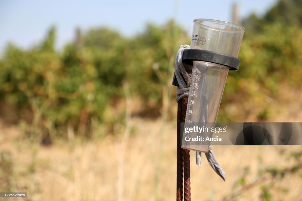 Rain gauge