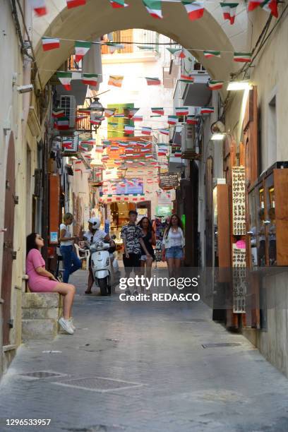 The picturesque town of Vieste in the Gargano peninsula. Apulia. Italy..