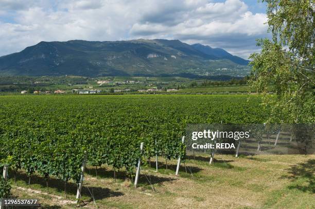 Rivoli Veronese Photos and Premium High Res Pictures Getty Images