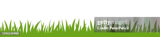 green grass seamless border pattern on white background. vector stock illustration - turf background stock illustrations