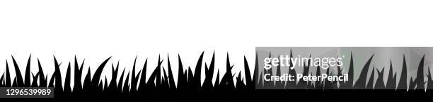 grass seamless border pattern on white background. vector stock illustration - turf background stock illustrations