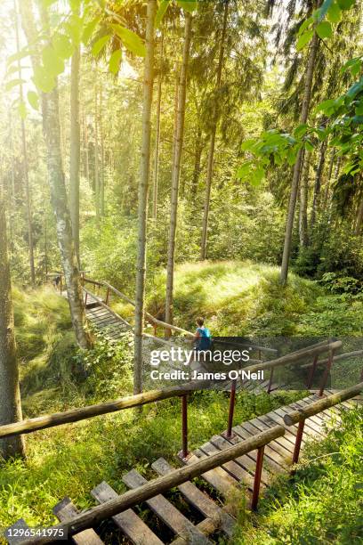 Lone female walking through forest on a sunny day from above