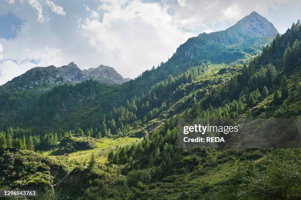 Corteno Golgi Photos and Premium High Res Pictures Getty Images