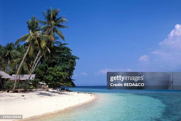 Beach. Manado. Sulawesi island. Sunda Islands. Indonesia.