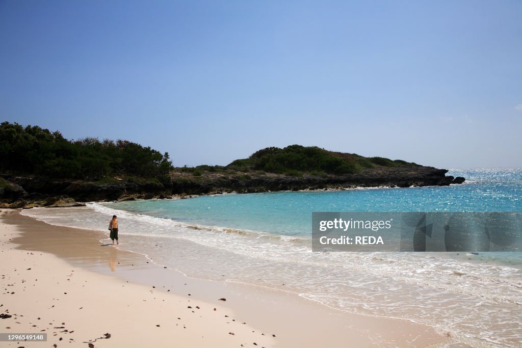Nature reserve. Nonsuch Island. St. George's Parish. Bermuda. Atlantic Ocean. Central America