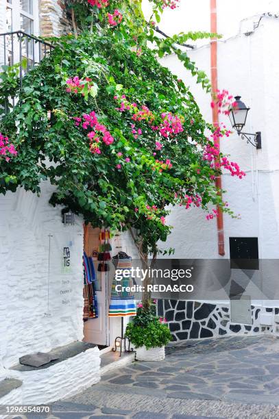 Village of white houses and seaside resort among olive groves. A tourist destination both for its sea and for its artistic past. In an isolated...