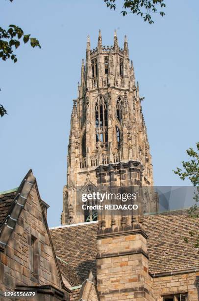 The Harkness Tower at the Yale University. New Haven. Connecticut. New England. USA..