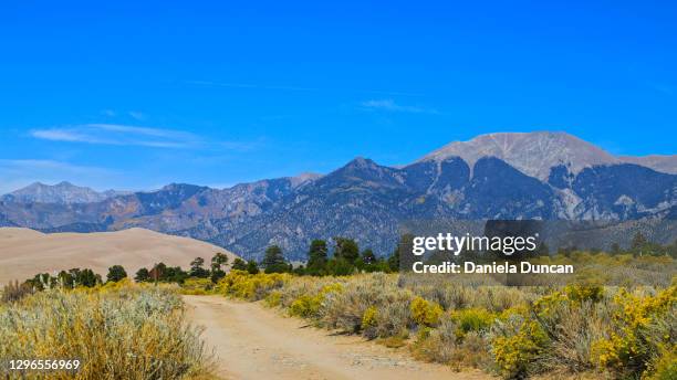 medano pass primitive road - great sand dunes national park stock pictures, royalty-free photos & images