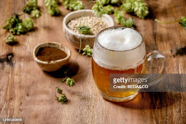 Classic glass mug of fresh cold foamy lager beer with green hop cones. Wheat grain and red fermented malt in ceramic bowls behind over wooden texture...