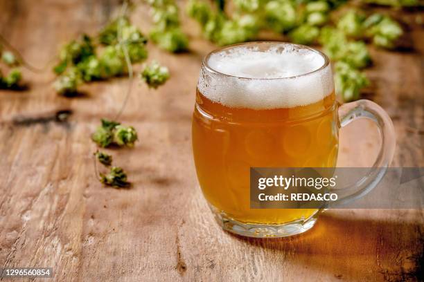 Classic glass mug of fresh cold foamy lager beer with green hop cones behind over wooden texture background. Copy space.