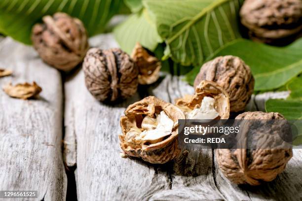 Organic walnuts. Whole and broken. With green leaves of walnut tree over old wooden background. Close up.