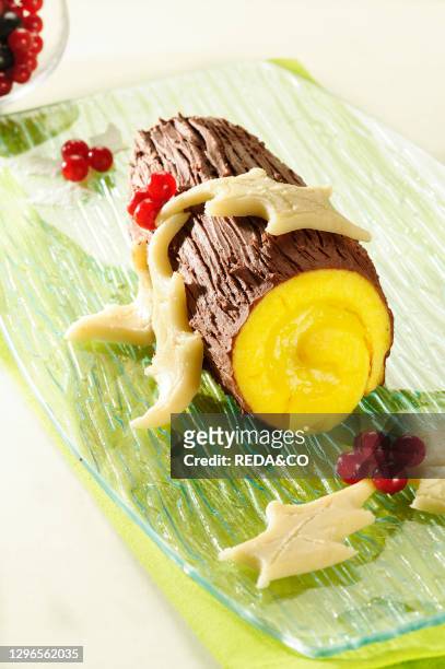 The Tronchetto di Natale . Is a typical dessert of the French Christmas tradition. France. Europe.