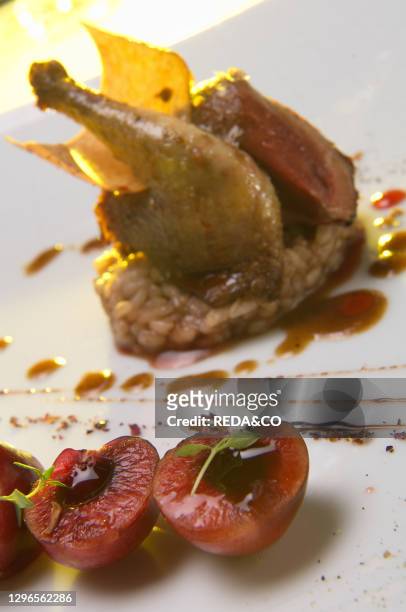Roasted pigeon from Aran with red fruit risotto and crunchy pepper sponge cake a dish from Aizpea Oihander and Xabien Diez Esteibar at Restaurante...