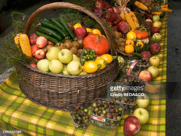 Italy. Piedmont. Turin. Cossano. Mushroom festival. Stall with autumn fruits and vegetables. .