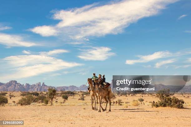 tubu people riding their camels, ennedi massif, sahara, chad - chad central africa stock pictures, royalty-free photos & images