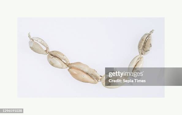 Hepy String Of Cowrie Shells Middle Kingdom Dynasty 12 Early Mid Hepy String Of Cowrie Shells Middle Kingdom Dynasty 12 Early Mid