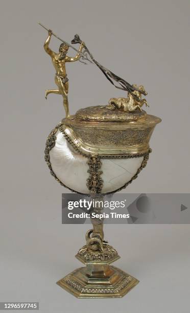 29 Nautilus Shell Cup Stock Photos, High-Res Pictures, and Images ...