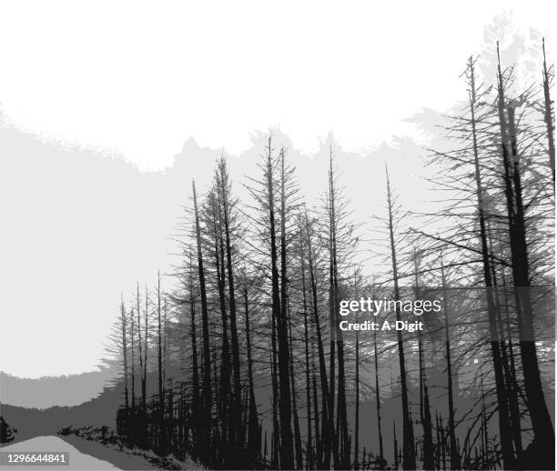 grey trees road - dead tree stock illustrations