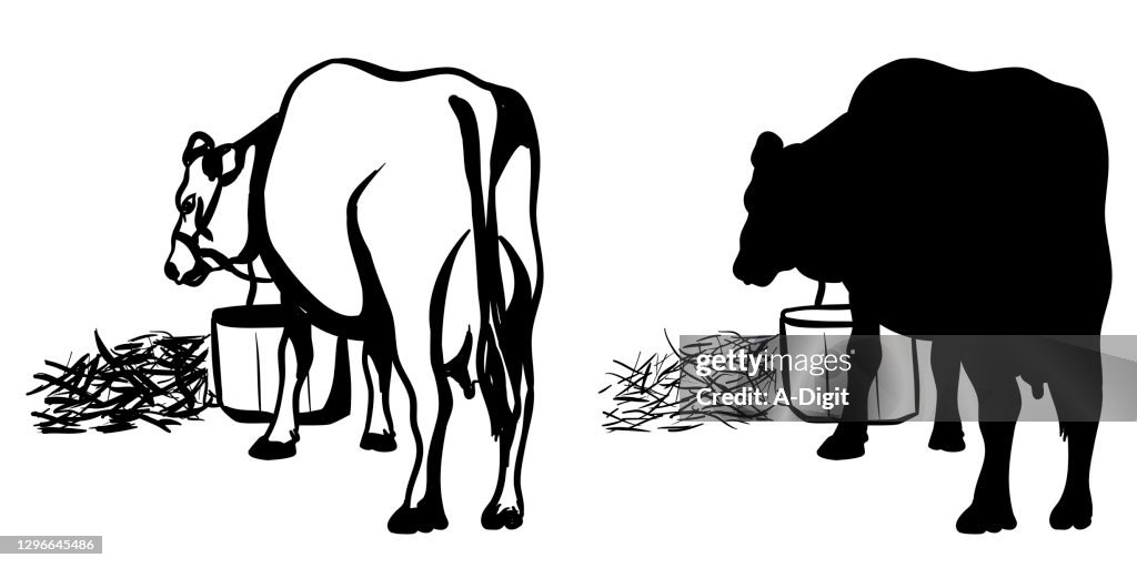 Milk Cow Silhouette