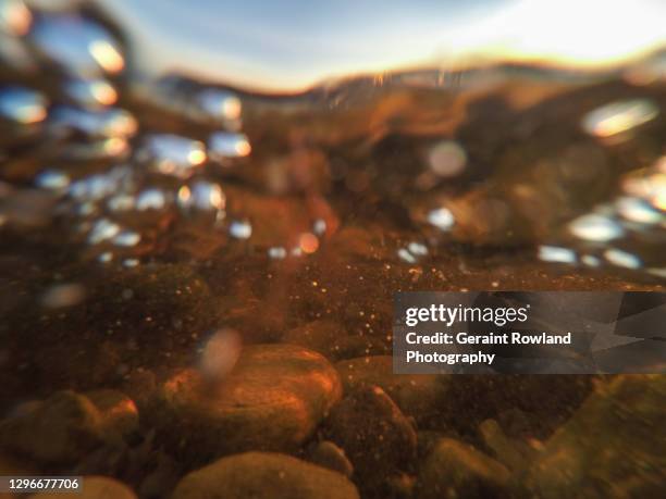 scottish underwater shot - seabed stock pictures, royalty-free photos & images