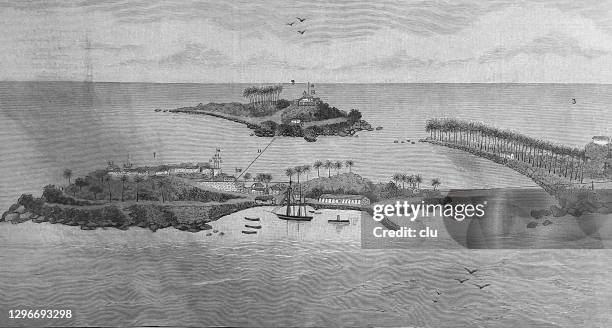 the salvation islands and the devil's island - french guiana stock illustrations
