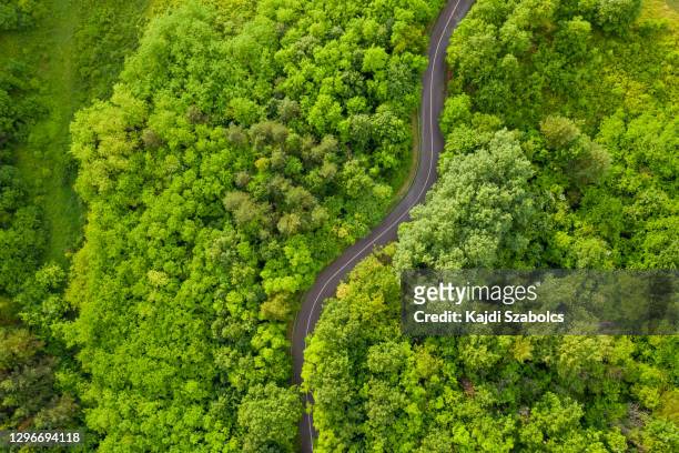 road drone view - hungary countryside stock pictures, royalty-free photos & images