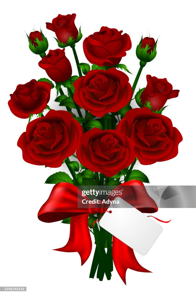 Bunch of Red Roses on White Background