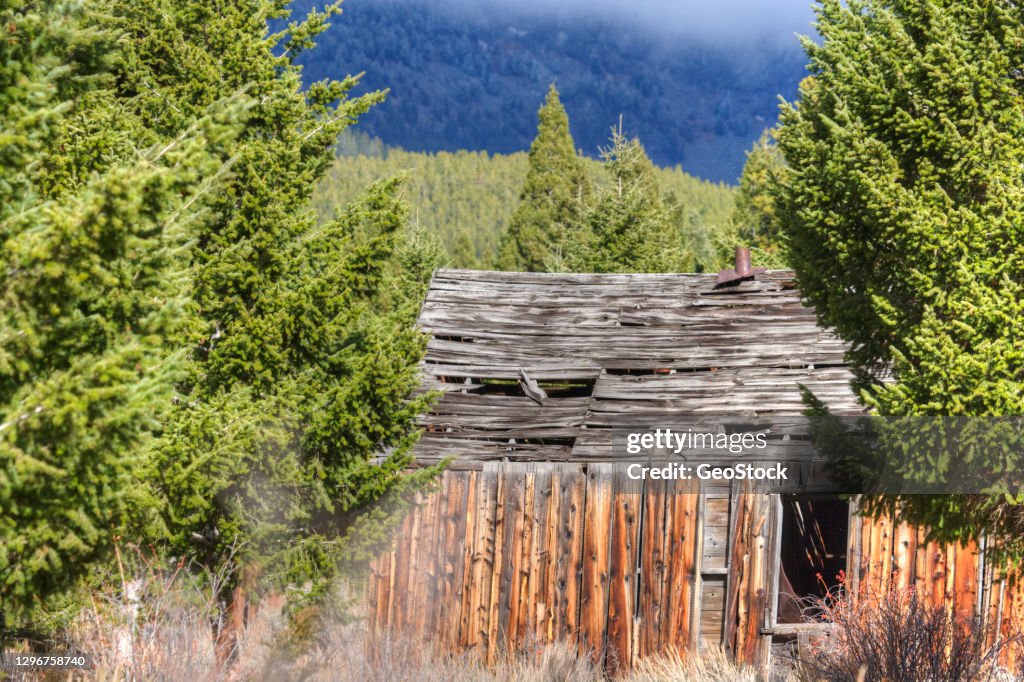 Rotting remains of a house in a mining ghost town