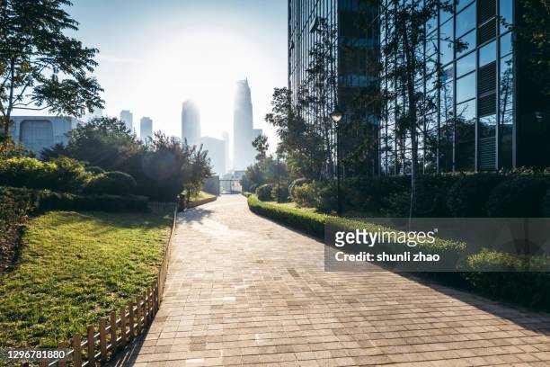 walkway in the park at sunrise - città foto e immagini stock