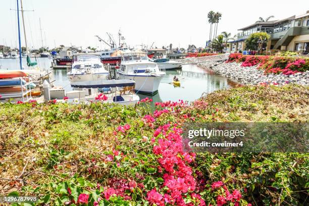 ventura harbor - califórnia - san buenaventura - fotografias e filmes do acervo