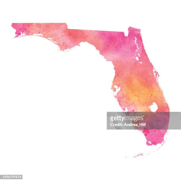 florida, usa watercolor map raster illustration in pink and coral tones - okeechobee, florida stock illustrations