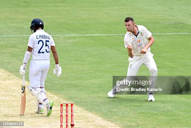 Josh Hazlewood of Australia celebrates taking the wicket of Cheteshwar Pujara of India during day three of the 4th Test Match in the series between...