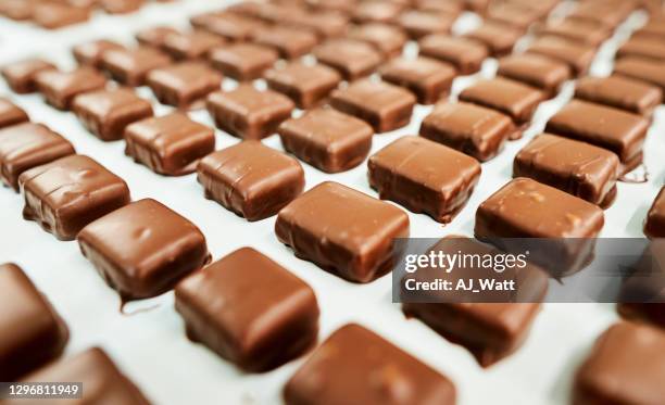 deliciosos chocolates artesanales sentados en una bandeja - fábrica-de-chocolate fotografías e imágenes de stock