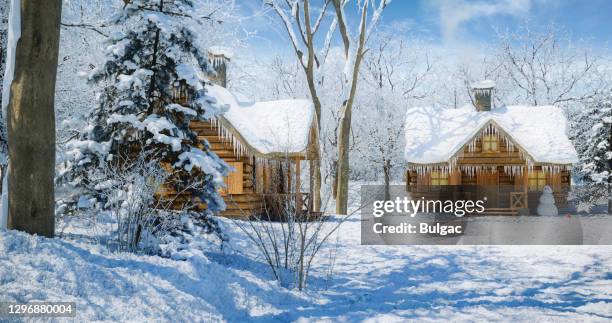 winter wonderland - january background stock pictures, royalty-free photos & images