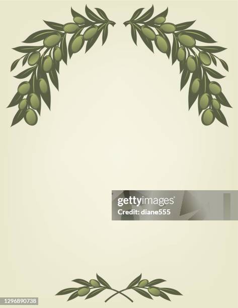 olive branches frames with room for text - olive leaf background stock illustrations